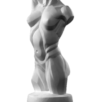 female torso